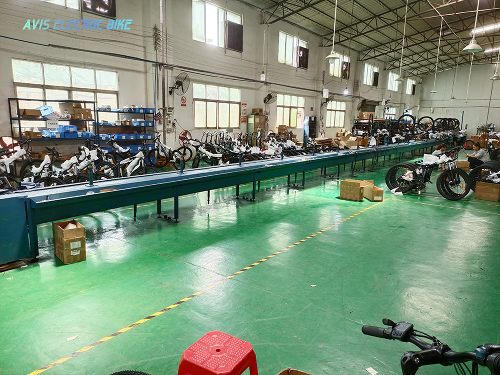 Guangzhou AVIS International Trade Co., Ltd. factory production line