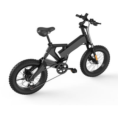 20 Inch Fat Tire Electric Folding Bike AC100v With 10AH Lithium Battery