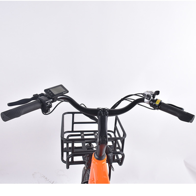 OEM Bag Cargo E Bike For Commuter Food Delivery 750W