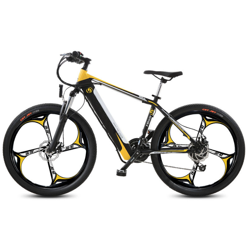27kg 750 Watt Electric Mountain Bike 48V Mountain Bike With Battery Assist